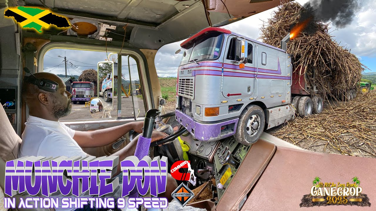 Munchie Don In Action | Shifting 9 Speed | 400 Cummins | International Cabover | Cane Crop 2025