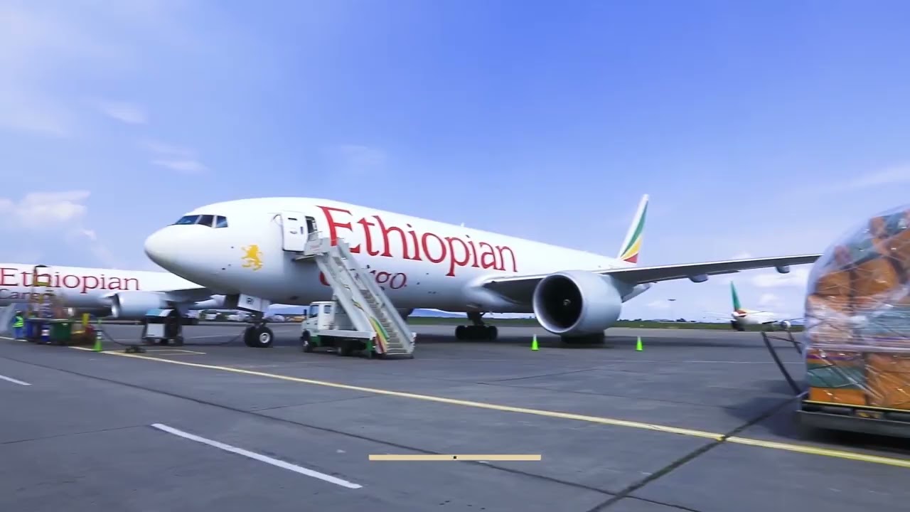 Ethiopian Investment Commission