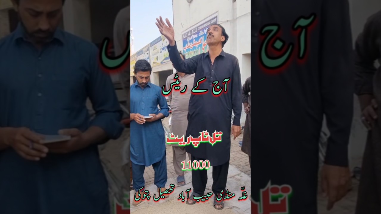 🔥 تل کے ریٹس میں نئی تیزی | Sesame Rate Today Punjab | AliAgro1972