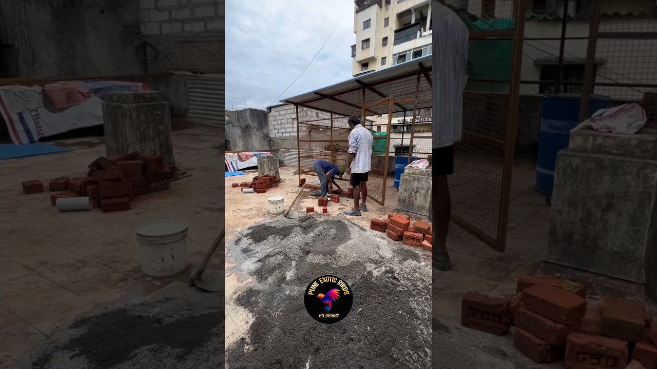 🔥PG&rsquo;S Aviary Making Video | Aviary Design | Birds Breeding Setup | PG Aviary| 12 😍
