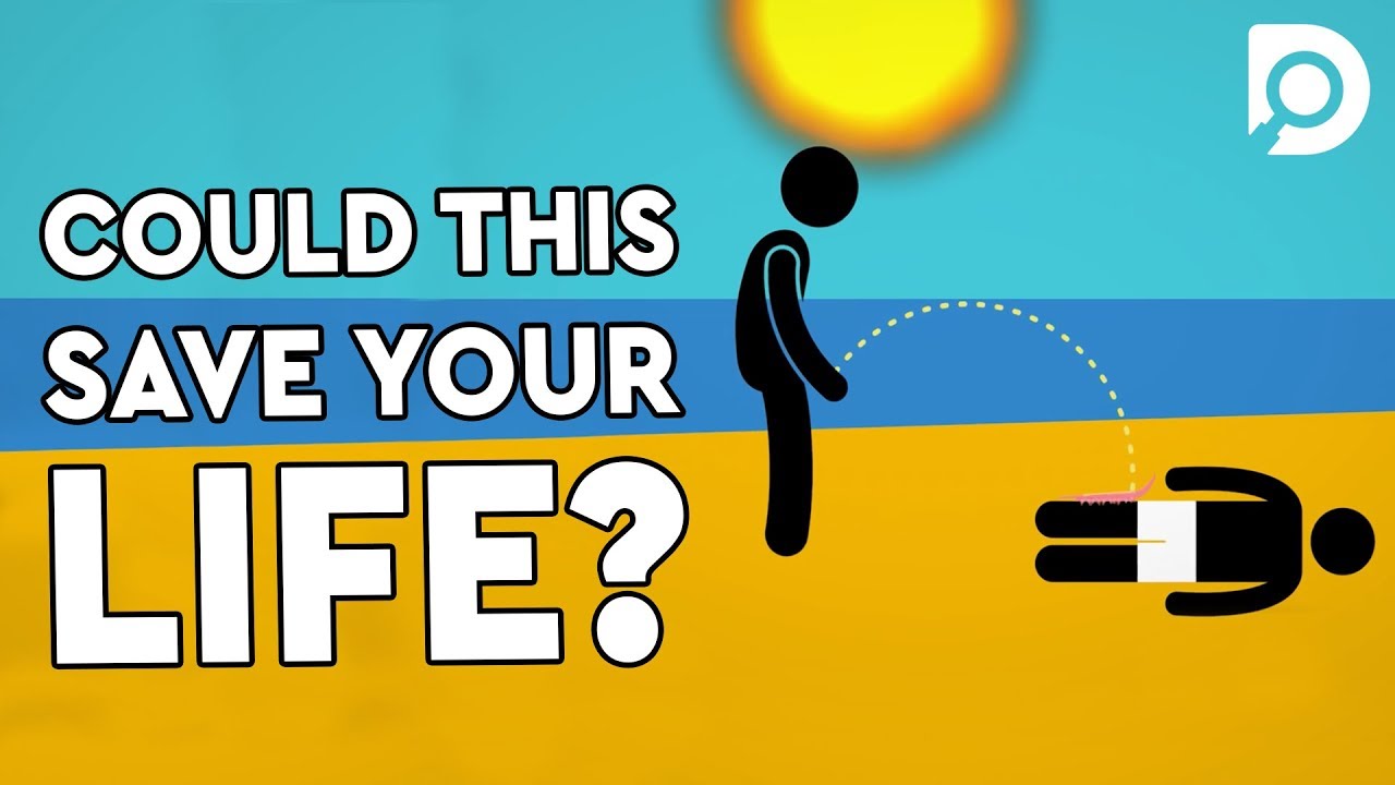 How To Survive A Jellyfish Sting? DEBUNKED | MOVIE MYTHS