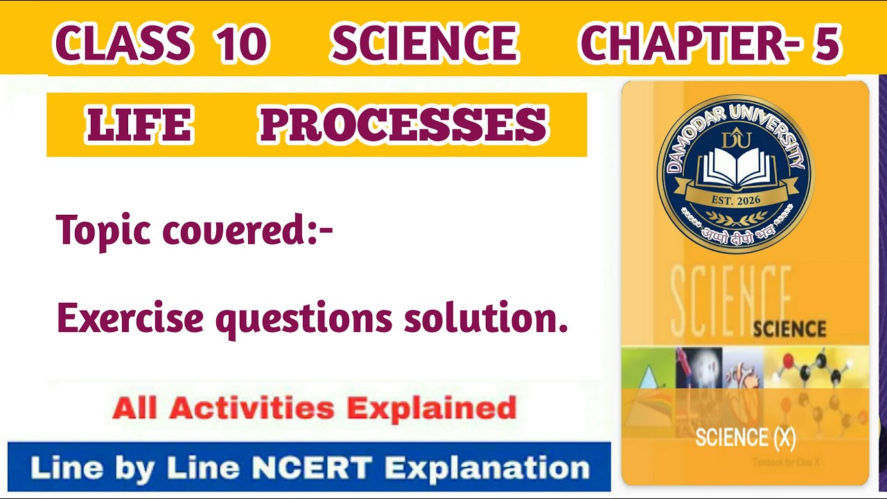 Exercise questions solution- NCERT class 10 science chapter 5 LIFE PROCESSES