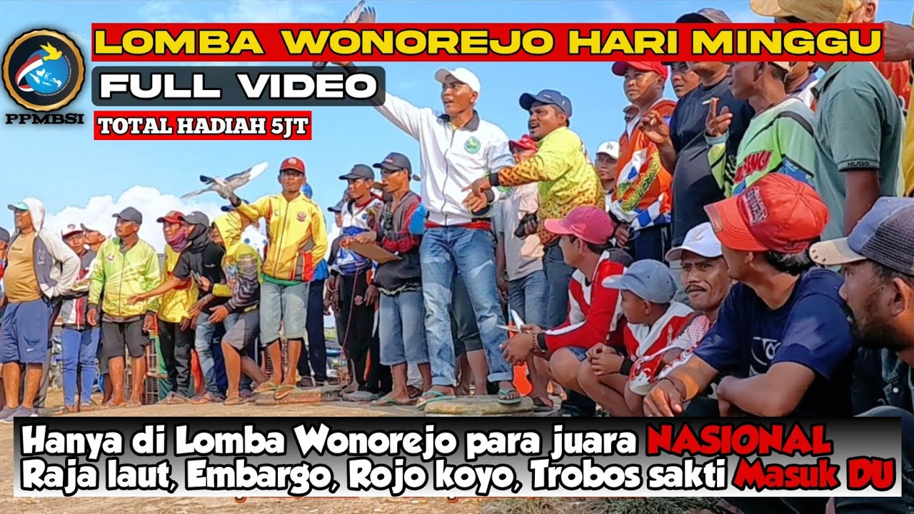 Lomba utama hari minggu Lap Wonorejo-Lumajang #merpatibalap #merpati #ppmbsi