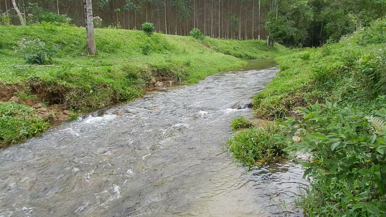 Sítio em Paulo Lopes com 18 Hectares com Muita Água