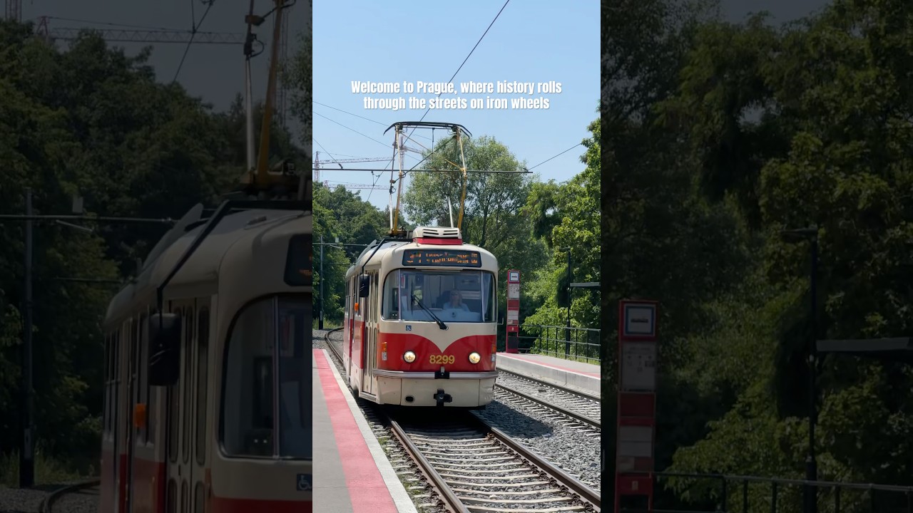 Prague&rsquo;s old trams 🇨🇿 #shorts #prague #czechia #oldtrams #history