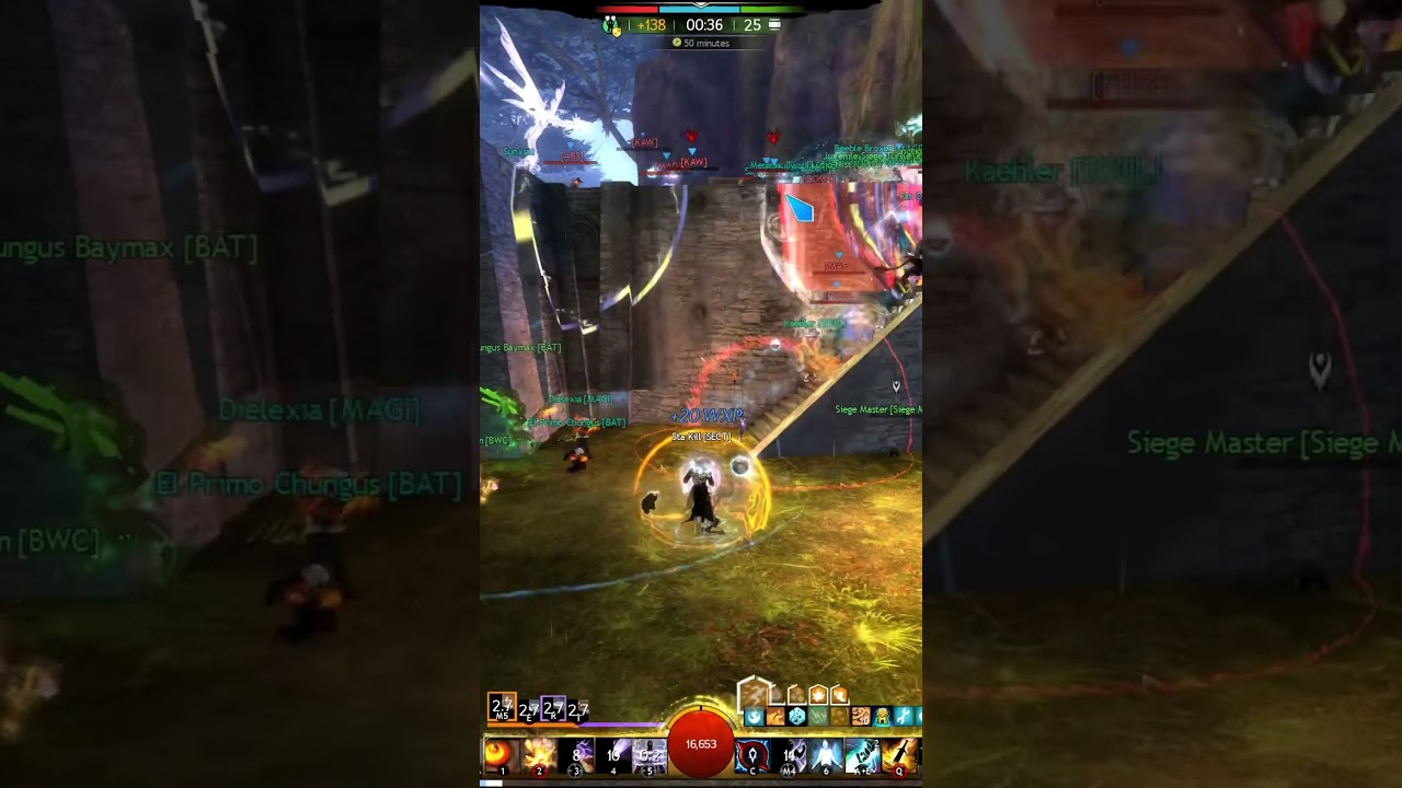 WvW Staff Weaver BIG DAMAGE #guildwars2 guildwars2 #worldvsworld #gw2 #wvw
