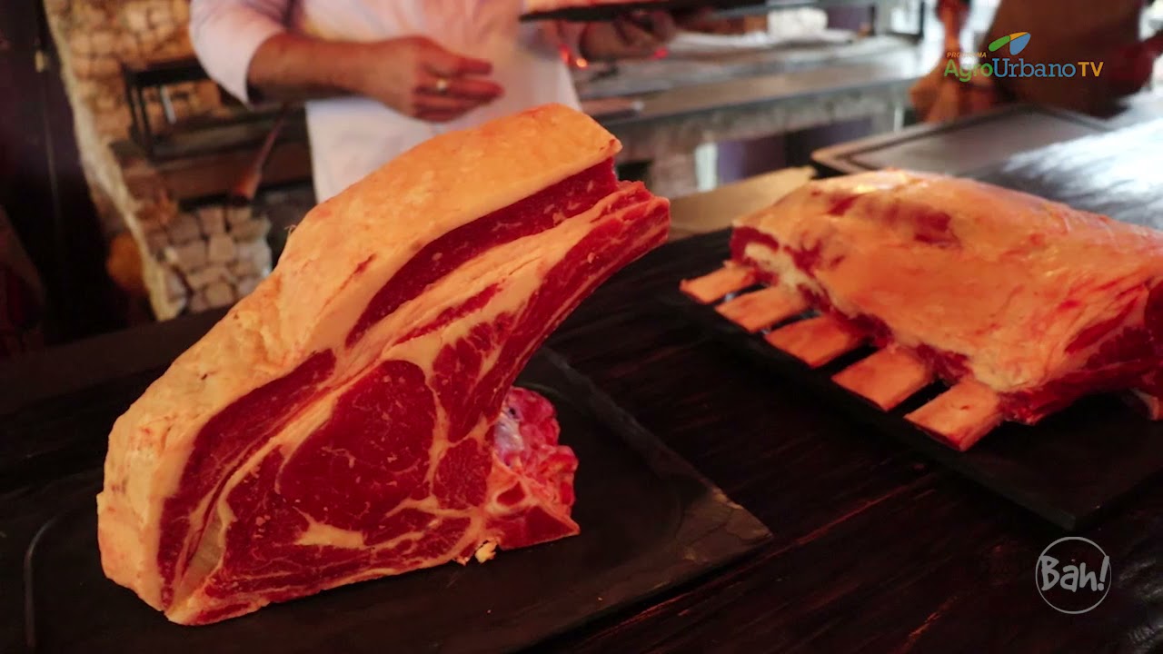 CARNES NOBRES: Murray Grey, ra&ccedil;a australiana &eacute; SUCESSO em CENTRO GASTRON&Ocirc;MICO - AgroUrbano TV