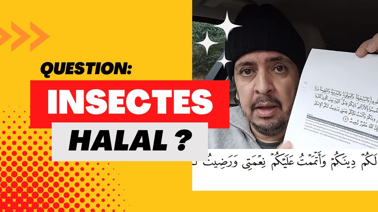 Islam : les Insectes sont Halal ?
