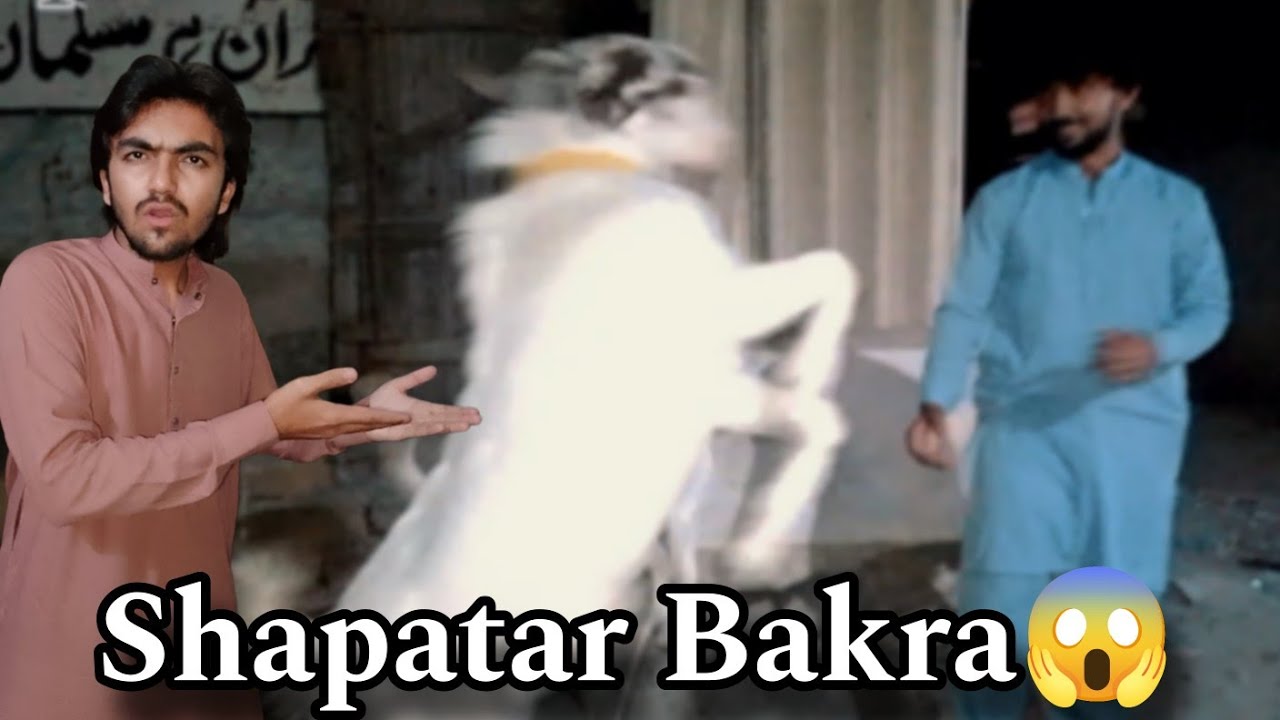 Shararti bakre ne hamen bohot bhagaya 🤣 [ Ameer Hamza Malkan ]
