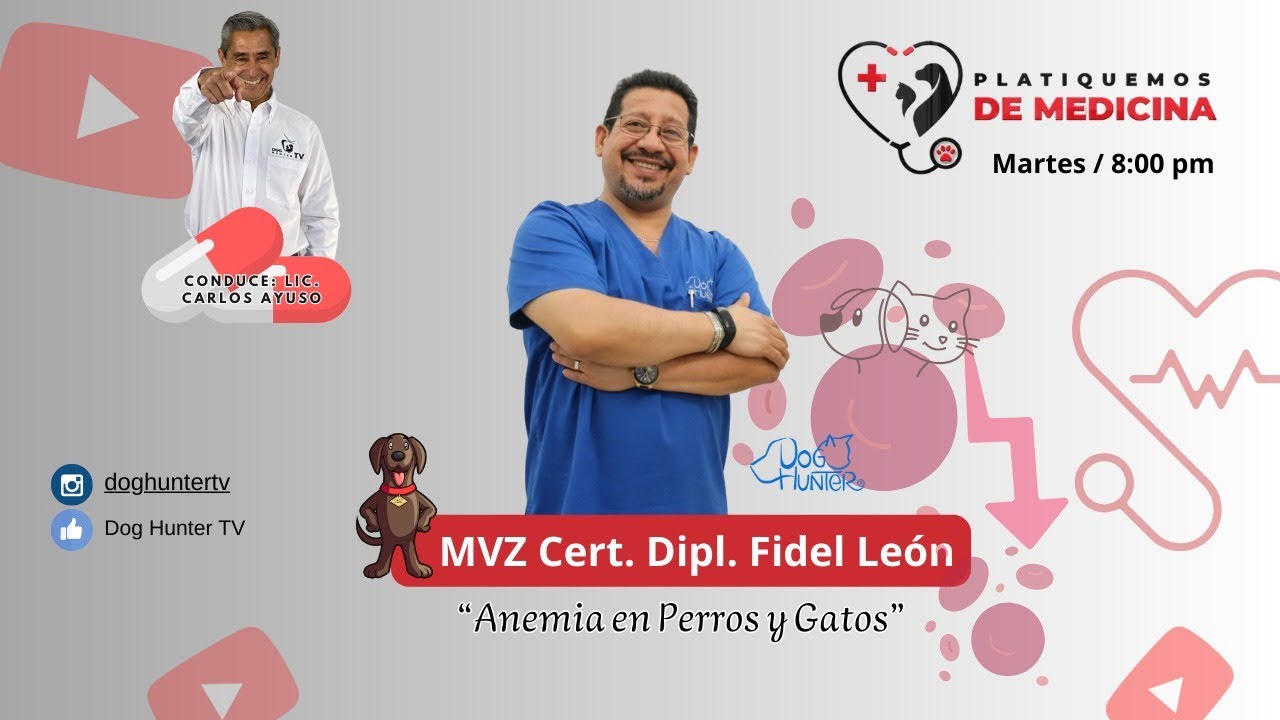 ANEMIA EN PERROS Y GATOS | Platiquemos de medicina 1-43