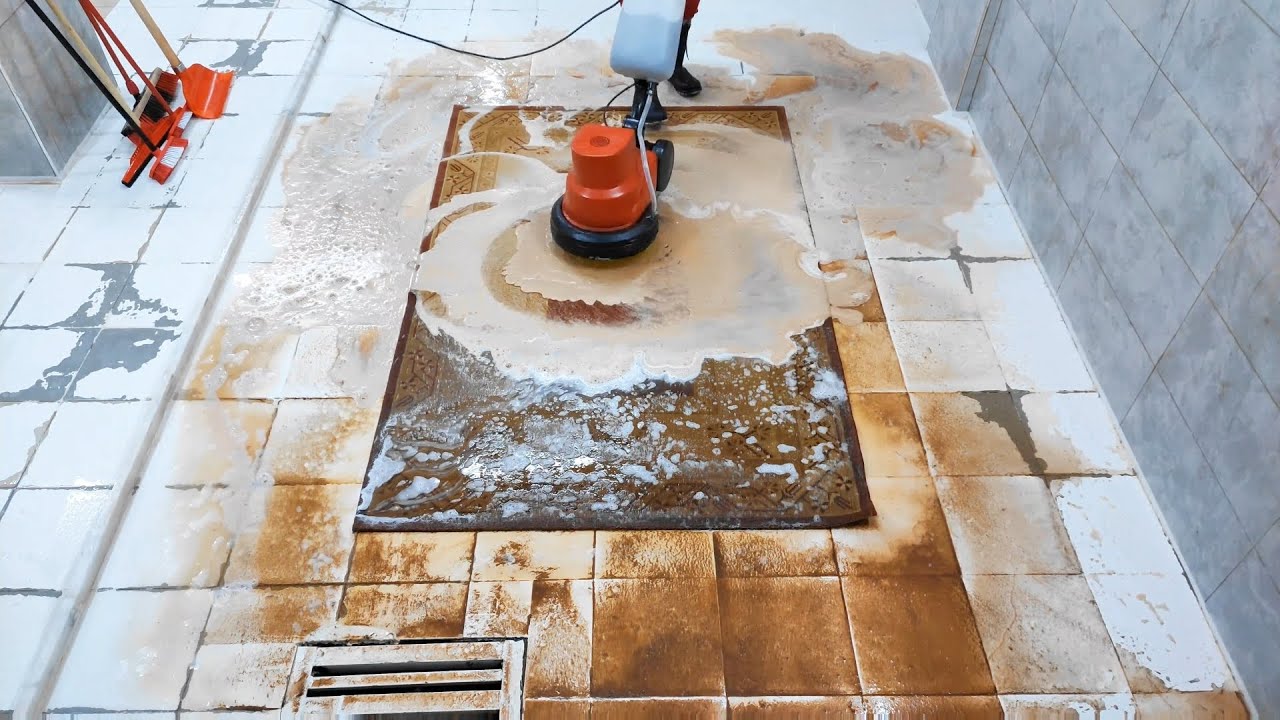 Water Damage Carpet Cleaning - (Flooded Mud 5 minute version)