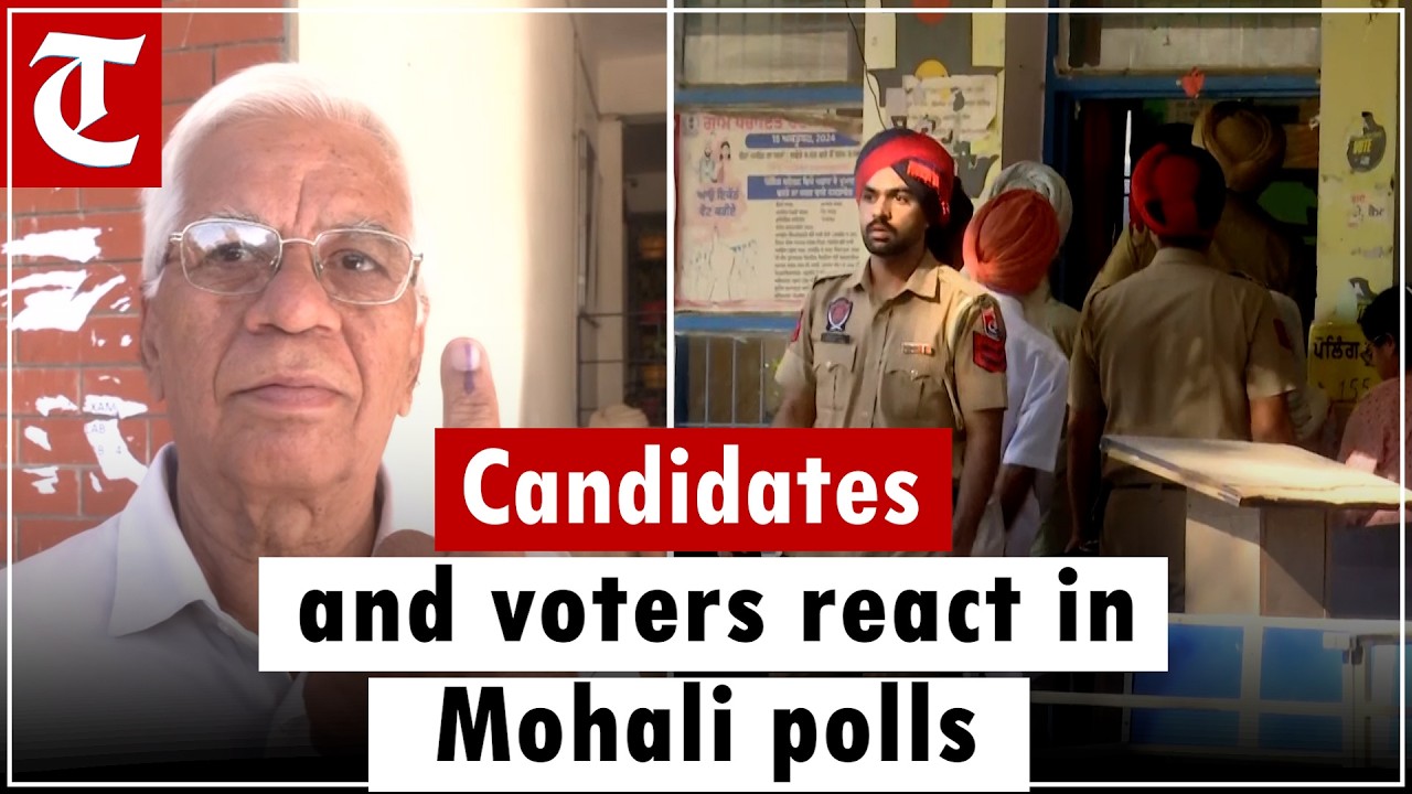 Punjab Civic Polls: Voting Begins in Mohali, Candidates and Voters Share First Reactions