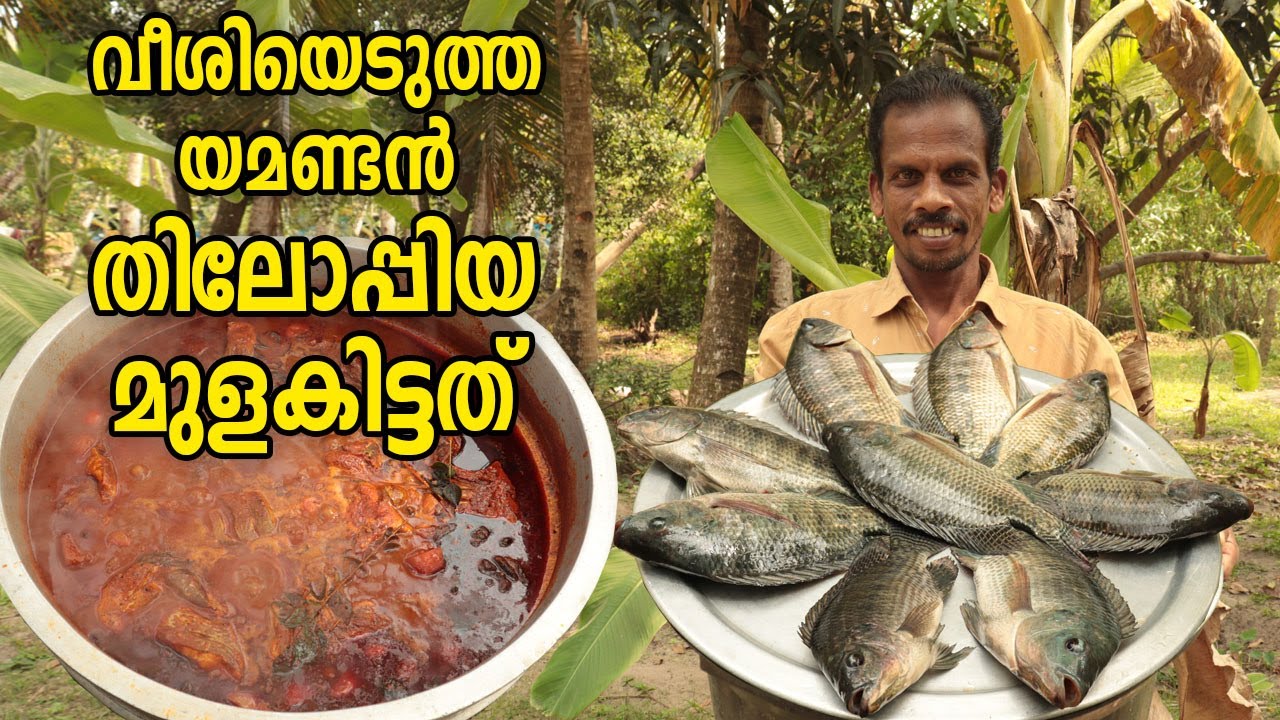 Tilapia Fish Mulakittathu Cleaning and cooking skill | Kerala style Tilapia curry