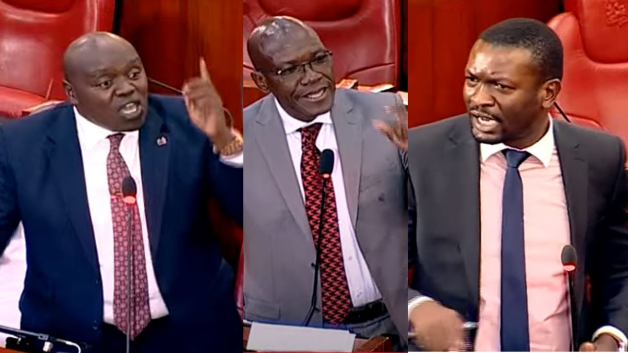 Fireworks! Heated Debate as Senators Debate on Disaster Management & Preparedness after flood menace