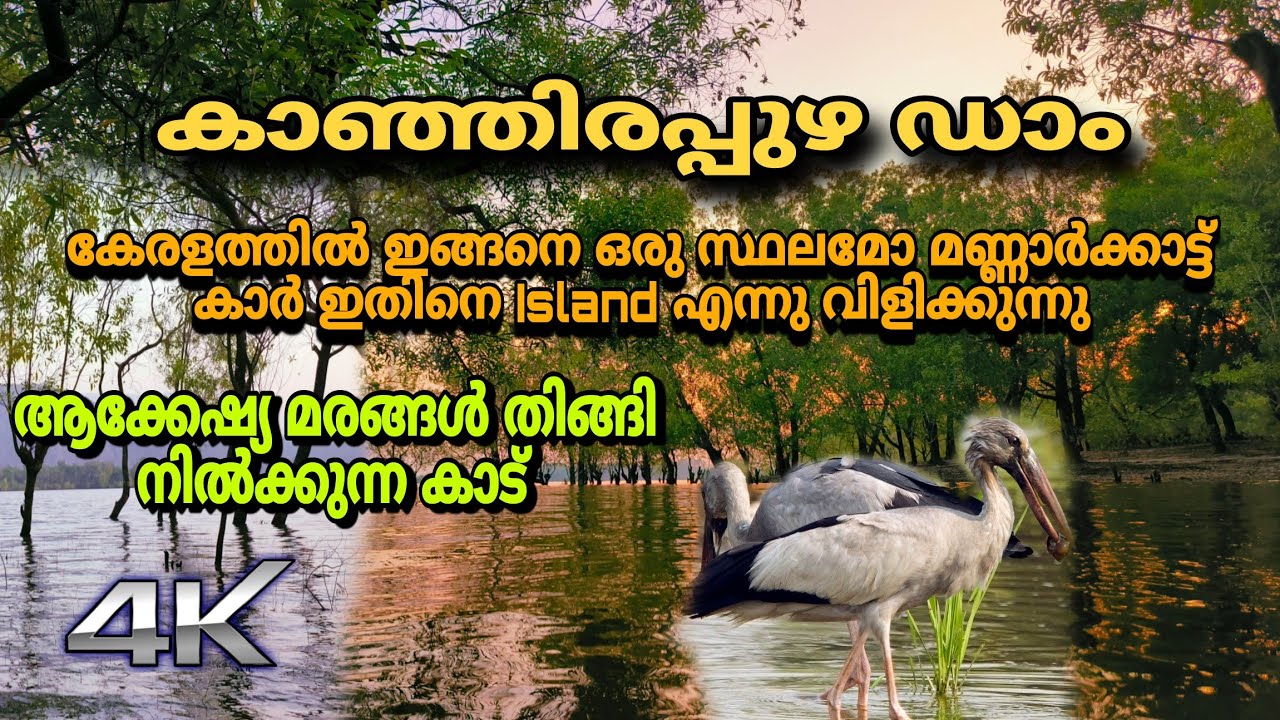 Kanjirapuzha Dam dweep | Mannarkkad Palakkad Tourist place in palakkad | iceland beach & dweep