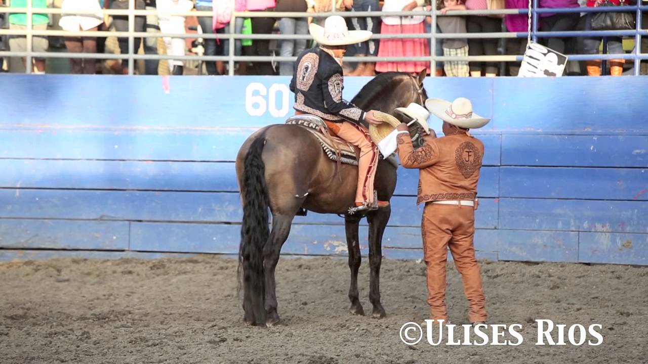 Ezequiel Peña ( Dia De Los Padres ) 5/11  Exclusivo 1080p HD