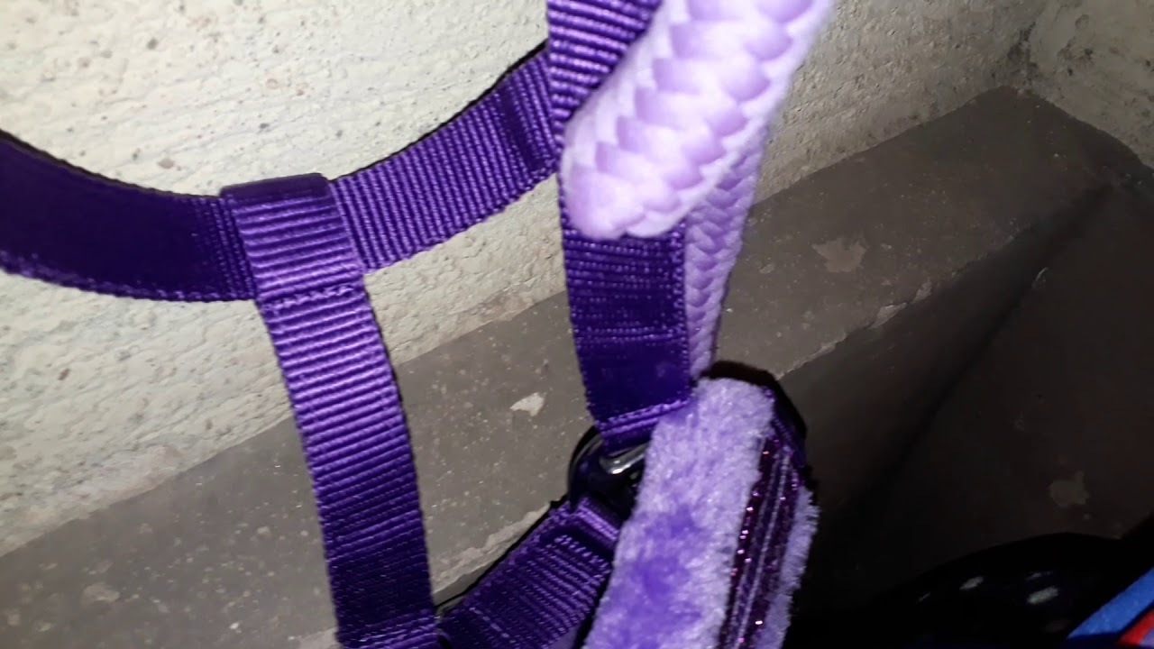 Meine neue Sattelkammer 😘🤗🐎