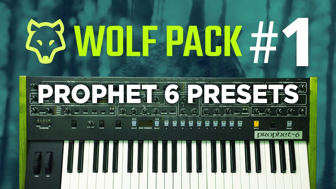 Prophet 6 preset PACK 1 | 100 sounds by Wolf pack