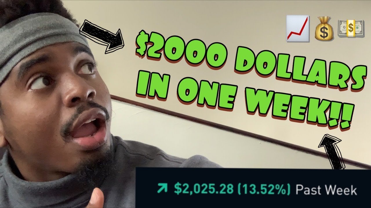 HOW I MADE 2000 DOLLARS IN ONE WEEK ON ROBINHOOD | MY 16K PORTFOLIO REVEALED !!!