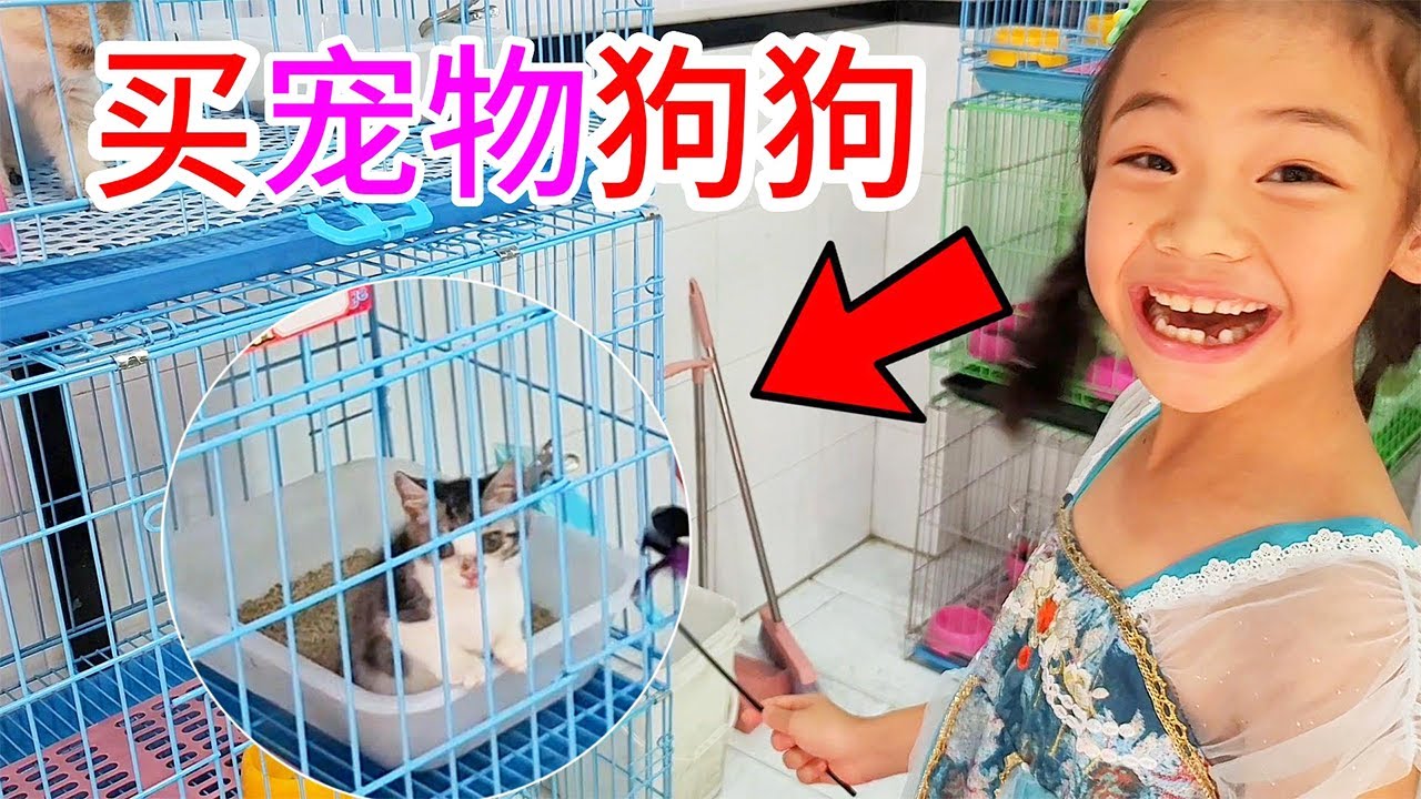 阿苗打算买一只宠物狗，第一次养狗狗，下定决心一定要把狗狗养好.