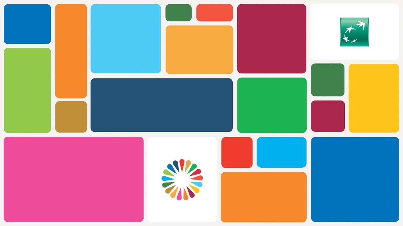 Collaboration towards UN Sustainable Development Goals: UN Joint SDG Fund, AY Young & BNP Paribas