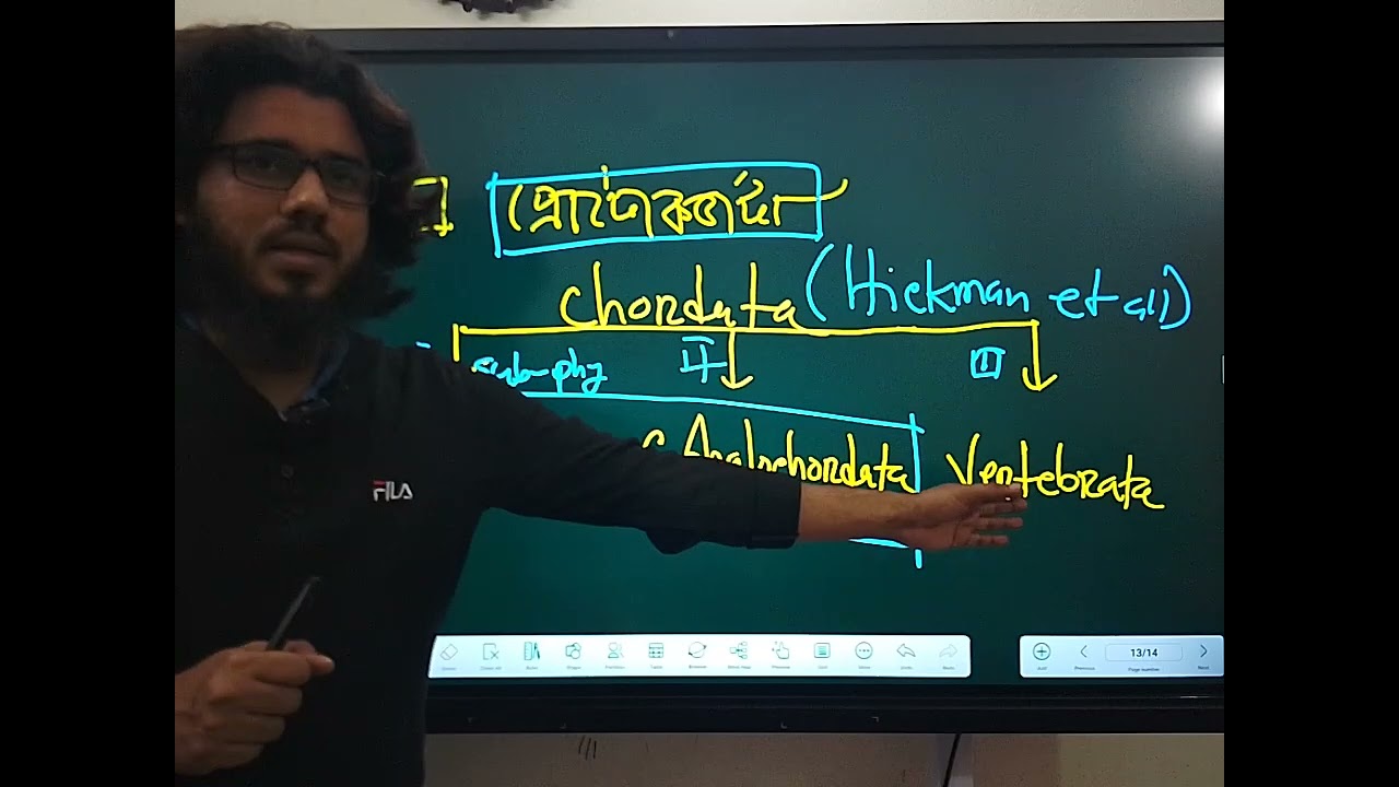 প্রাণিবিদ্যা অনার্স ২য়/প্রাণিবৈচিত্র্য-২/কর্ডাটা পর্বের গুরুত্বপূর্ণ বৈশিষ্ট্য/#Zoology#honours