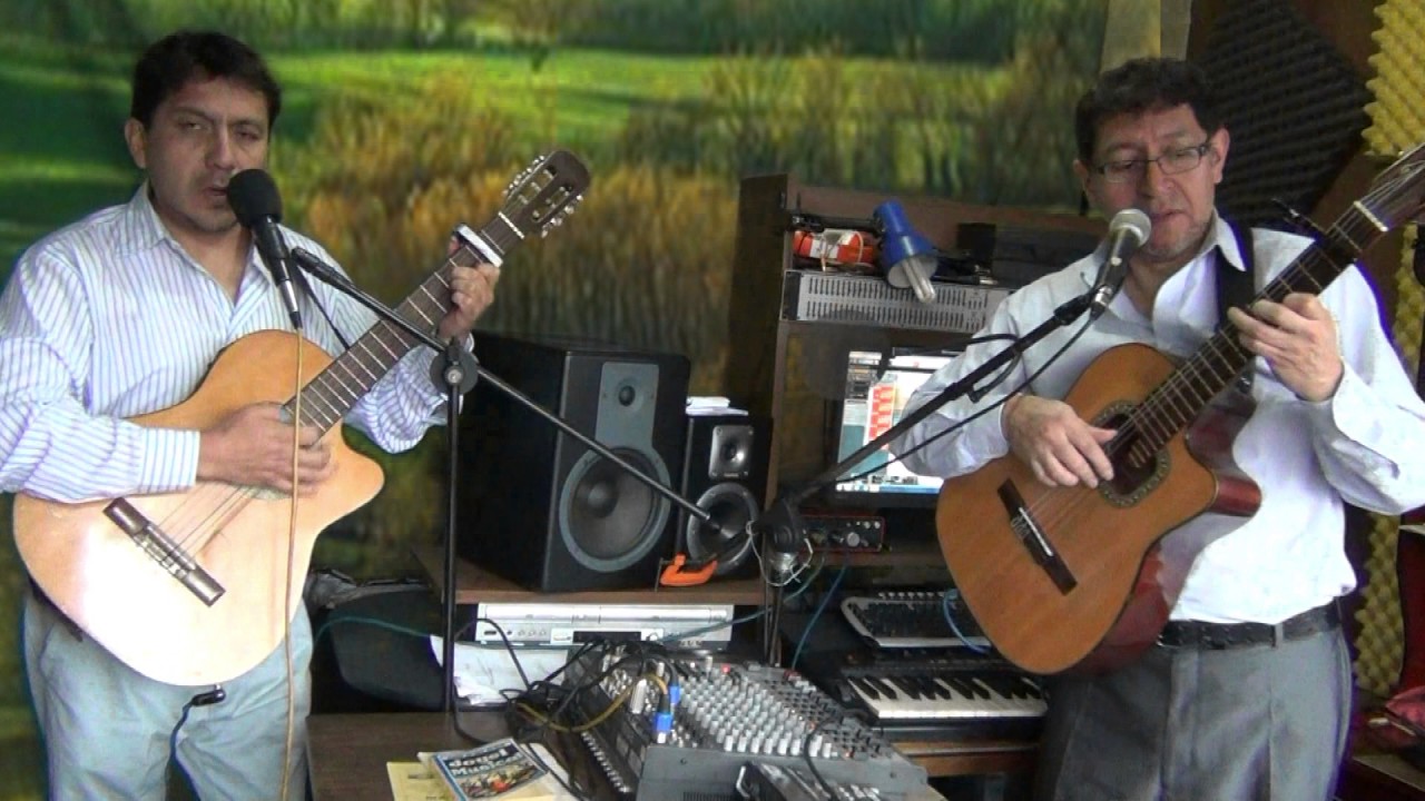Buscando un cariño - Los Danubios (cover) - (sonido en vivo)