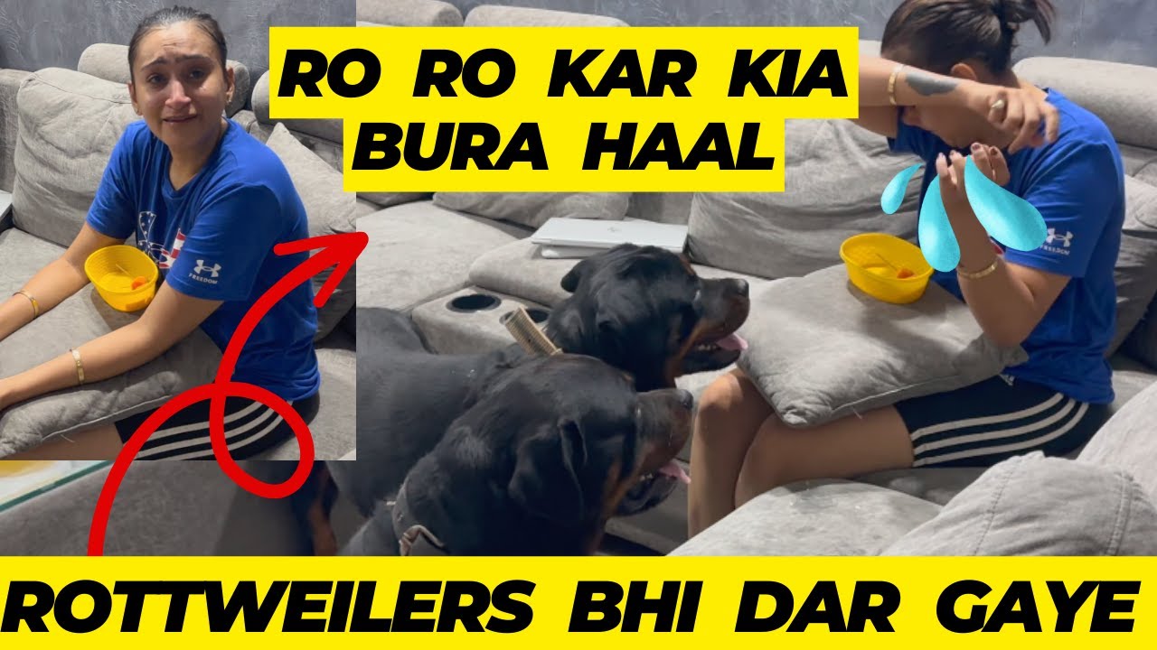 Ro Ro Kar Kiya Bura Haal: Mummy Ko Rota Dekh Kar Rottweilers Bubzee & Lady Ollie  Darr Gaye