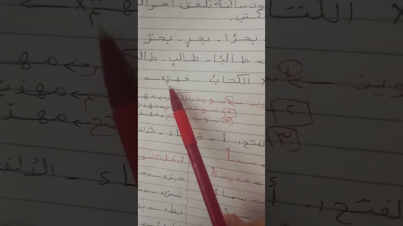 ٩ نوفمبر ٢٠٢٥