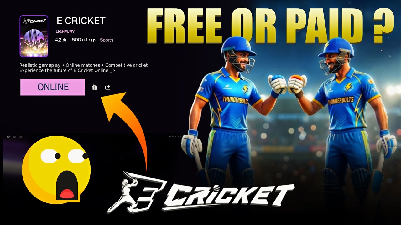 The Cost of Creating an E-Cricket Server