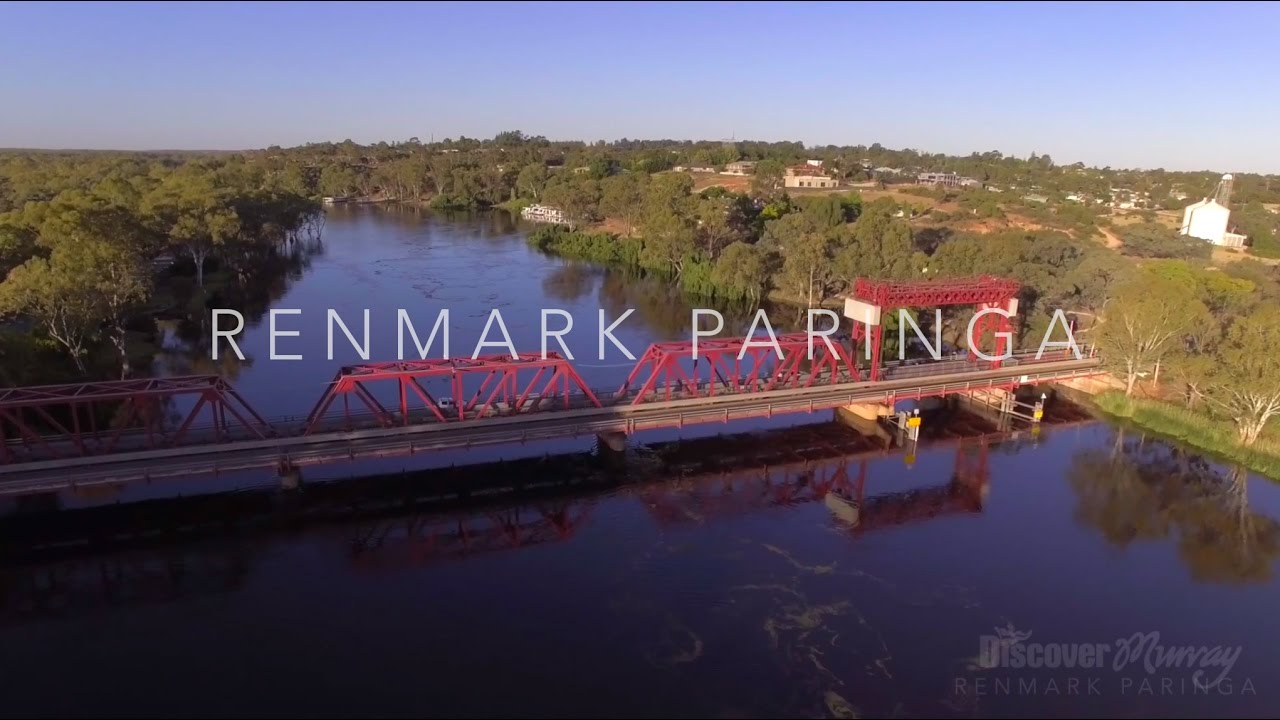 Murray River Bird aerial video - Renmark Paringa - Discover Murray River