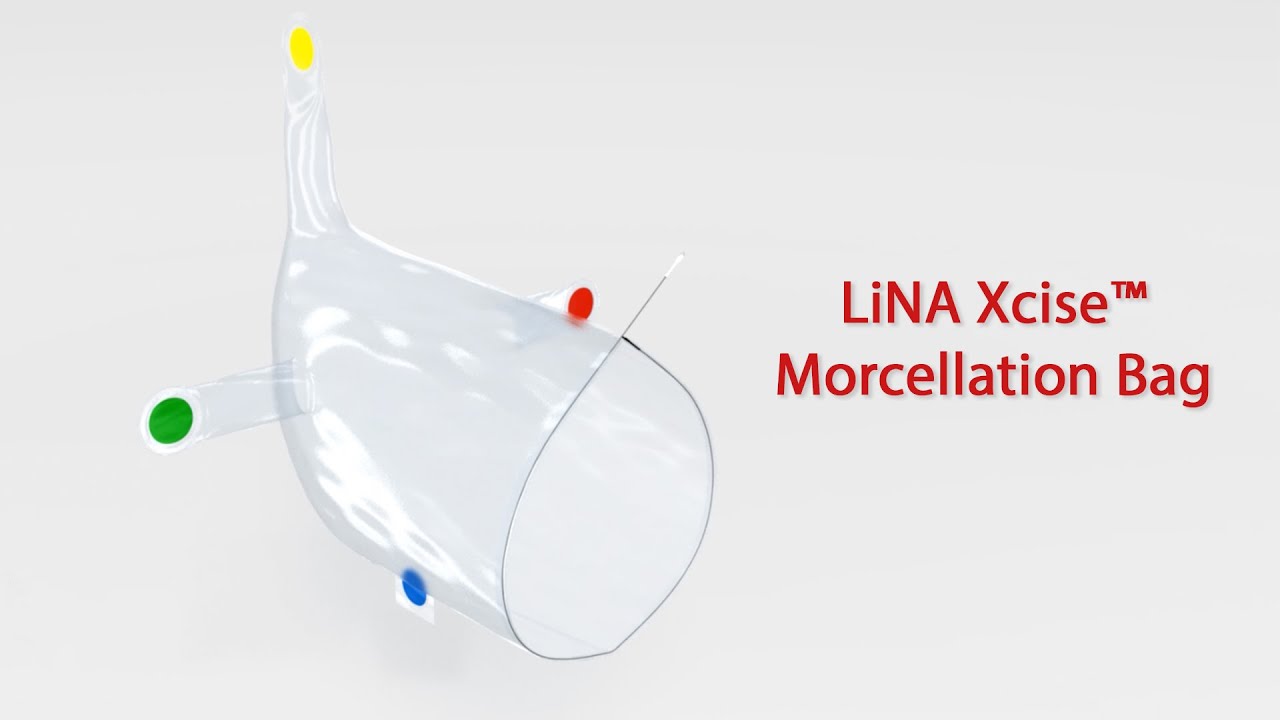 LiNA Xcise™ Morcellation Bag