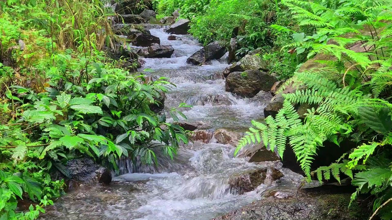 River Focus Ambience | Gentle Nature Sound for Concentration and Calm
