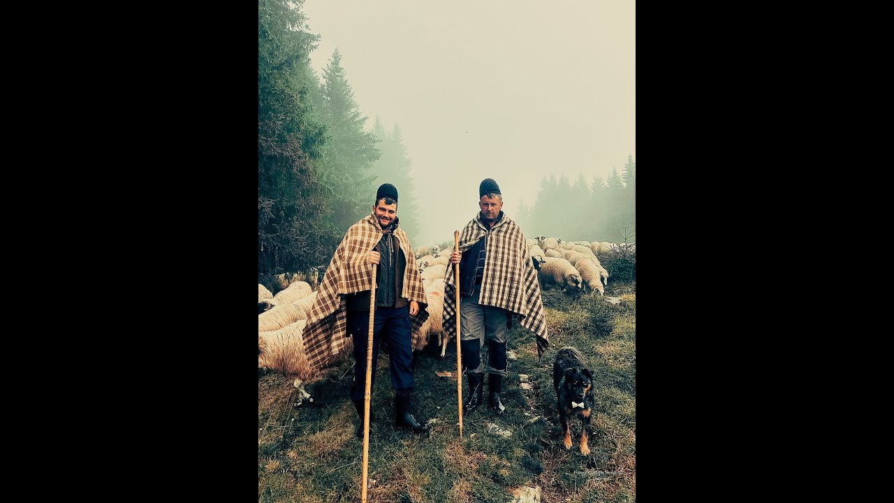 Turma, ceața, câinii și pașii noștri prin pădure sunt dovada unei tradiții vii, trăite cu sufletul!