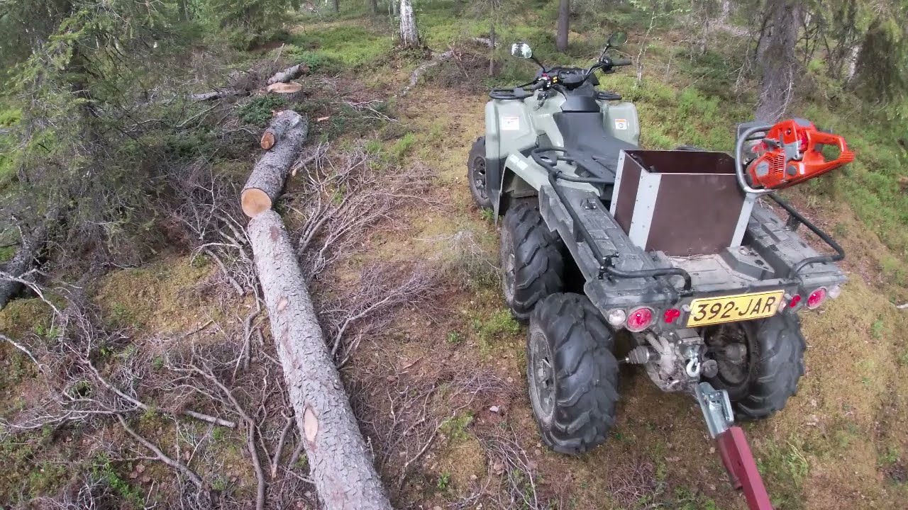 Puun ajoa mönkijällä
