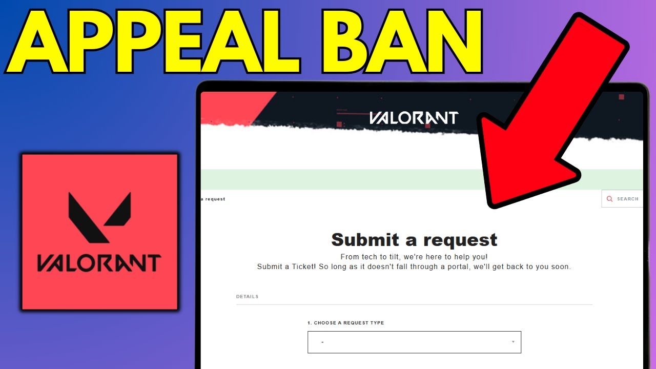 Как обжаловать бан в Valorant