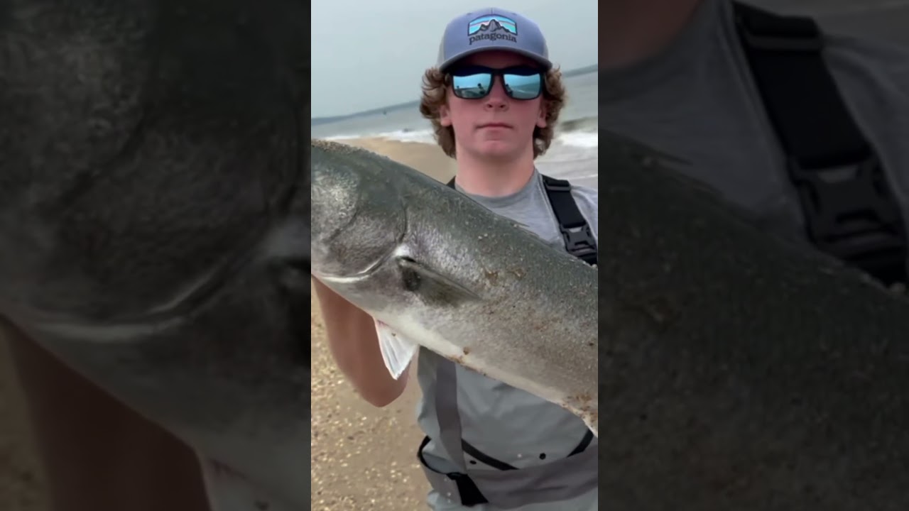 Big Fish Inhales Topwater Bait! #fishing #topwaterfishing #fishingviral