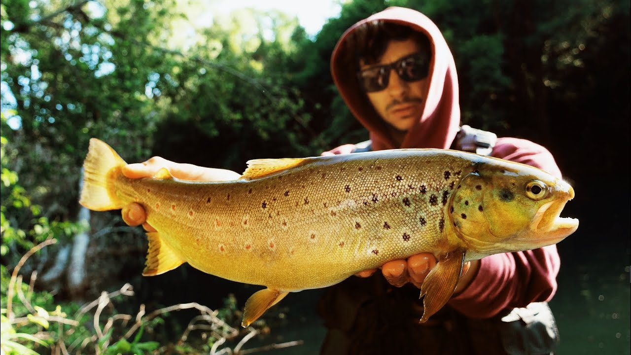 Trote a Jerk in Fiume vicino Roma - Fishin' Around