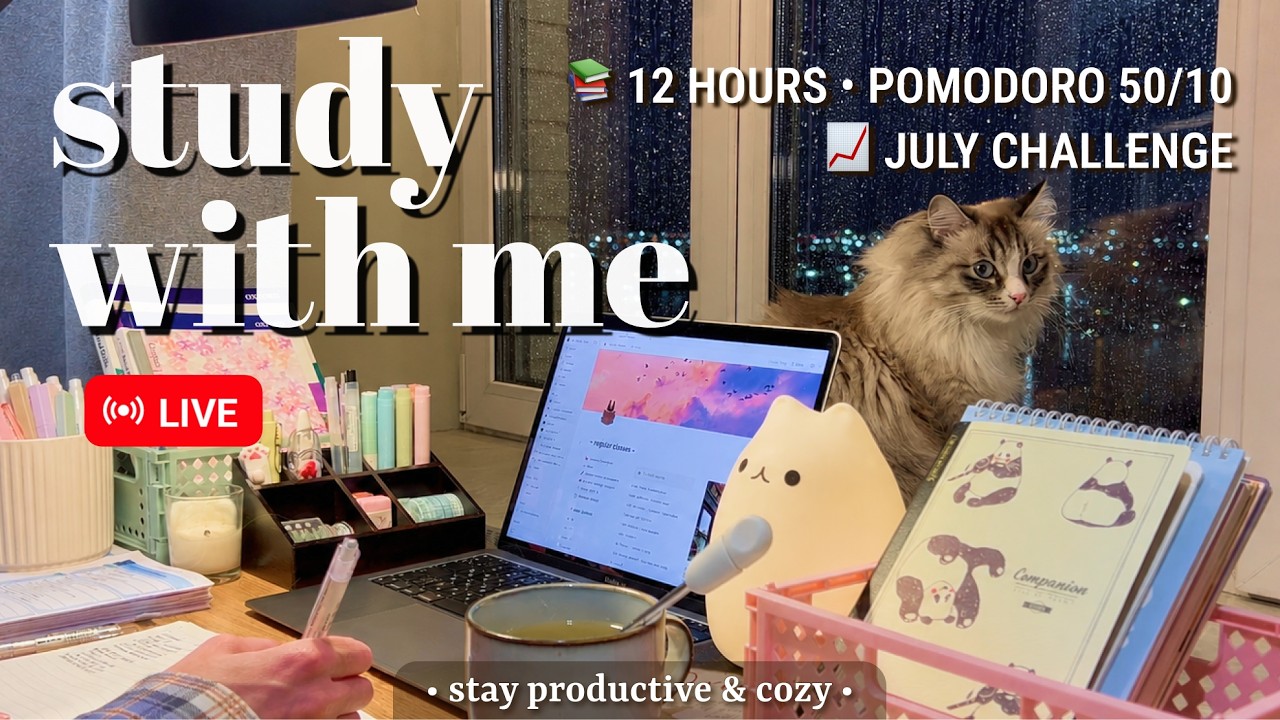 Challenge 📚 12 HOUR &bull; STUDY WITH ME | Pomodoro 50/10 | Fireplace Sound for Best Focus