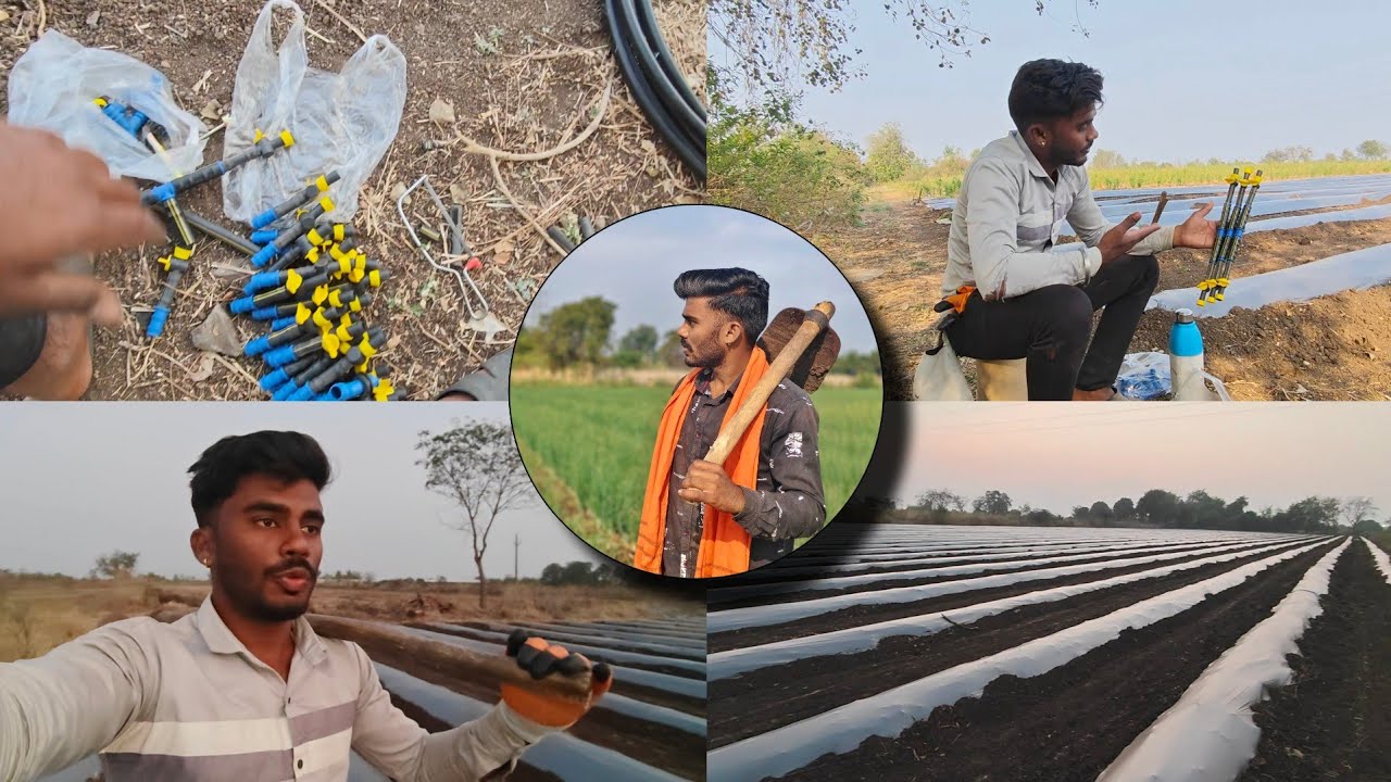 कमीत कमी आम्ही एक काम पूर्ण केले 🧑🏻‍🌾full-vlog @Piyushsawant-vlogs #farmingvlog #marathivlog #op #ps