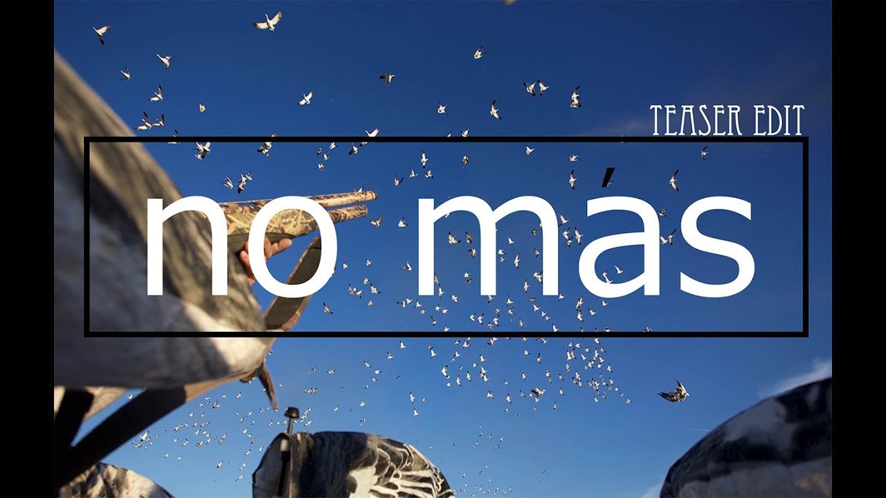 No Mas Snow Goose Hunting Teaser Edit