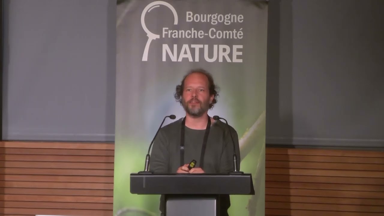 À la recherche des insectes bioluminescents [...] - Fabien VERFAILLIE