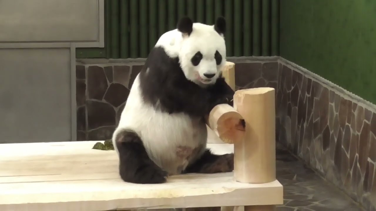 20230608　こうやってかいています