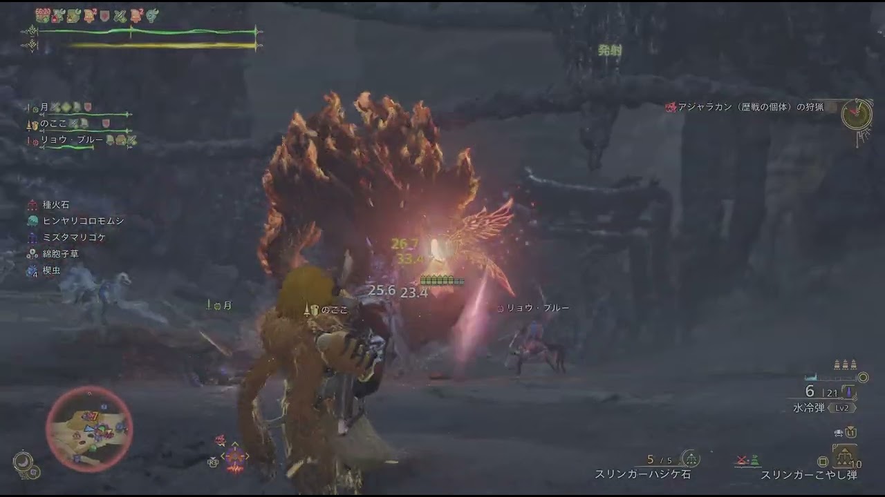アジャラカンのエリア移動バグ！？[Monster Hunter Wilds]