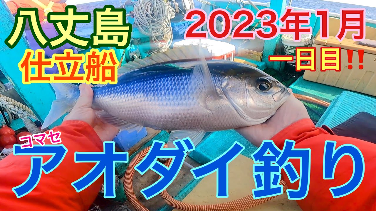 八丈島でアオダイ五目釣り‼️  八丈島　パパズイン
