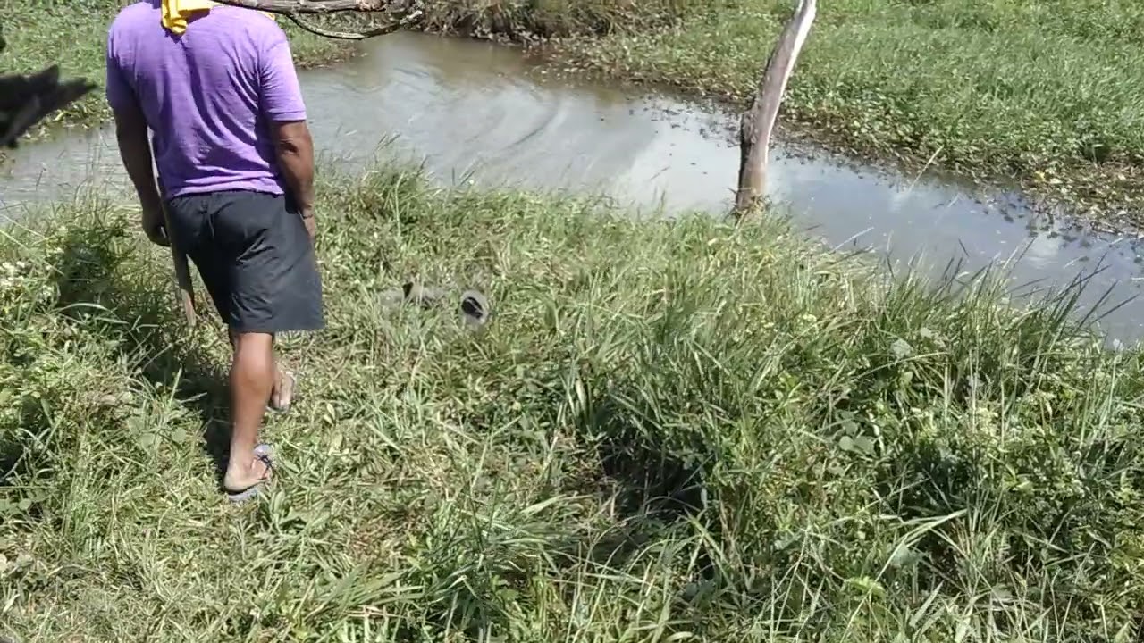 Panu manghuli Ng isha