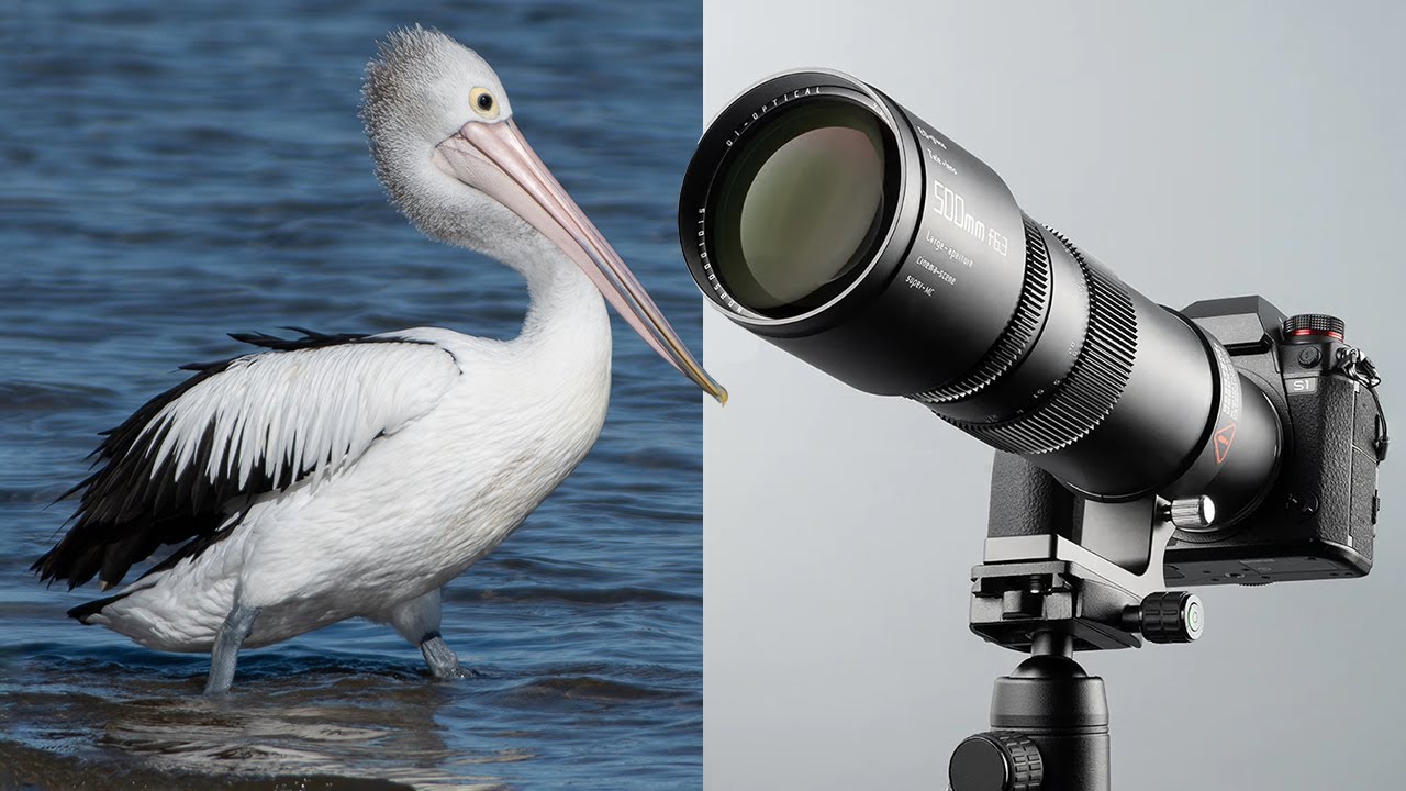 Этот объектив меня удивил! TTArtisan 500mm f6.3 БЮДЖЕТНЫЙ телеобъектив.