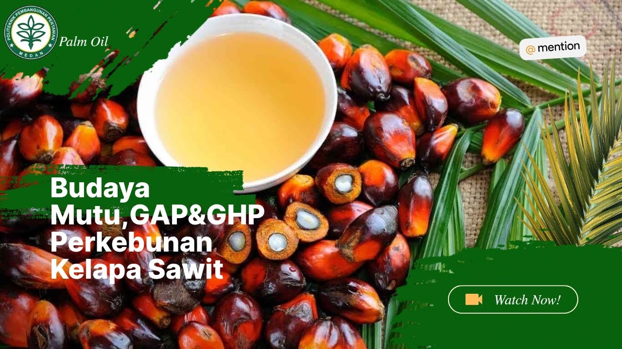 Budaya Mutu, GAP (Good Agricultural Practices) dan GHP (Good Handling Practices) Perkebunan 