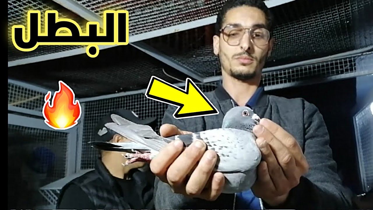 بطل من العيار الثقيل 🔥💣 في مرحلة النصف الطويل انه ياسين اسوال  يتألق🏆 في مسابقة اولاد جرار 480كلم