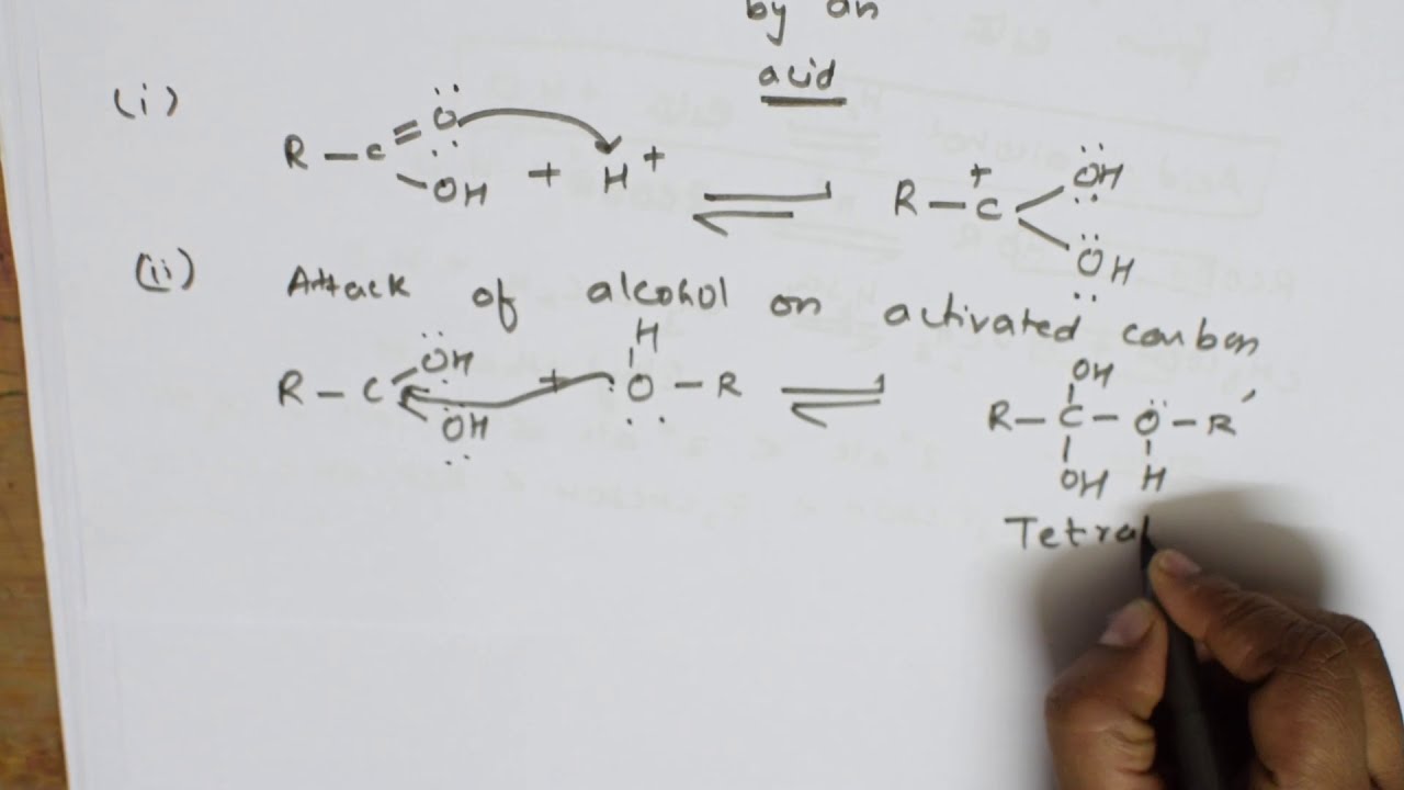 ESTERIFICATION Reaction Mechanism | 12 | CHEMISTRY,  CBSE XII